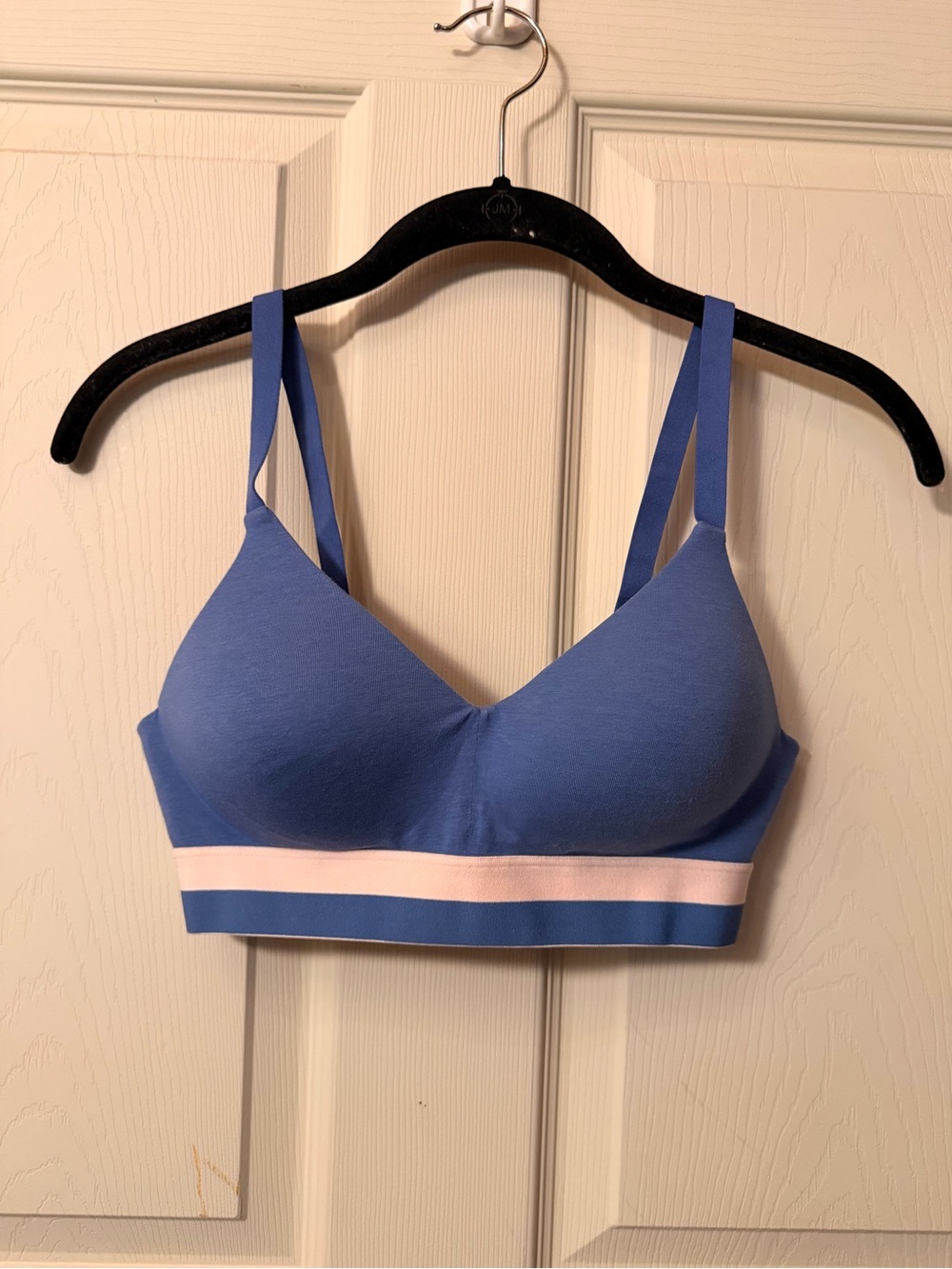 Hanes blue push up bra
